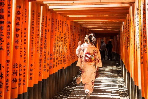 Khám phá Ngôi đền ngàn cột Fushimi Inari nổi tiếng tại cố đô Kyoto